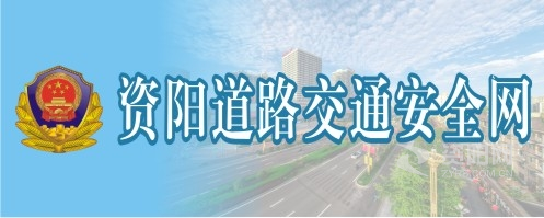 艹穴网资阳道路交通安全网